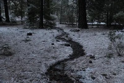 DSC_5835 (Large).JPG